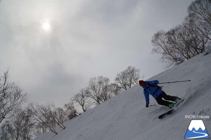 DYNASTAR SKI series Test Ride Days 2017 in ニセコユナイテッド【Day.2】～ニセコグラン・ヒラフ～